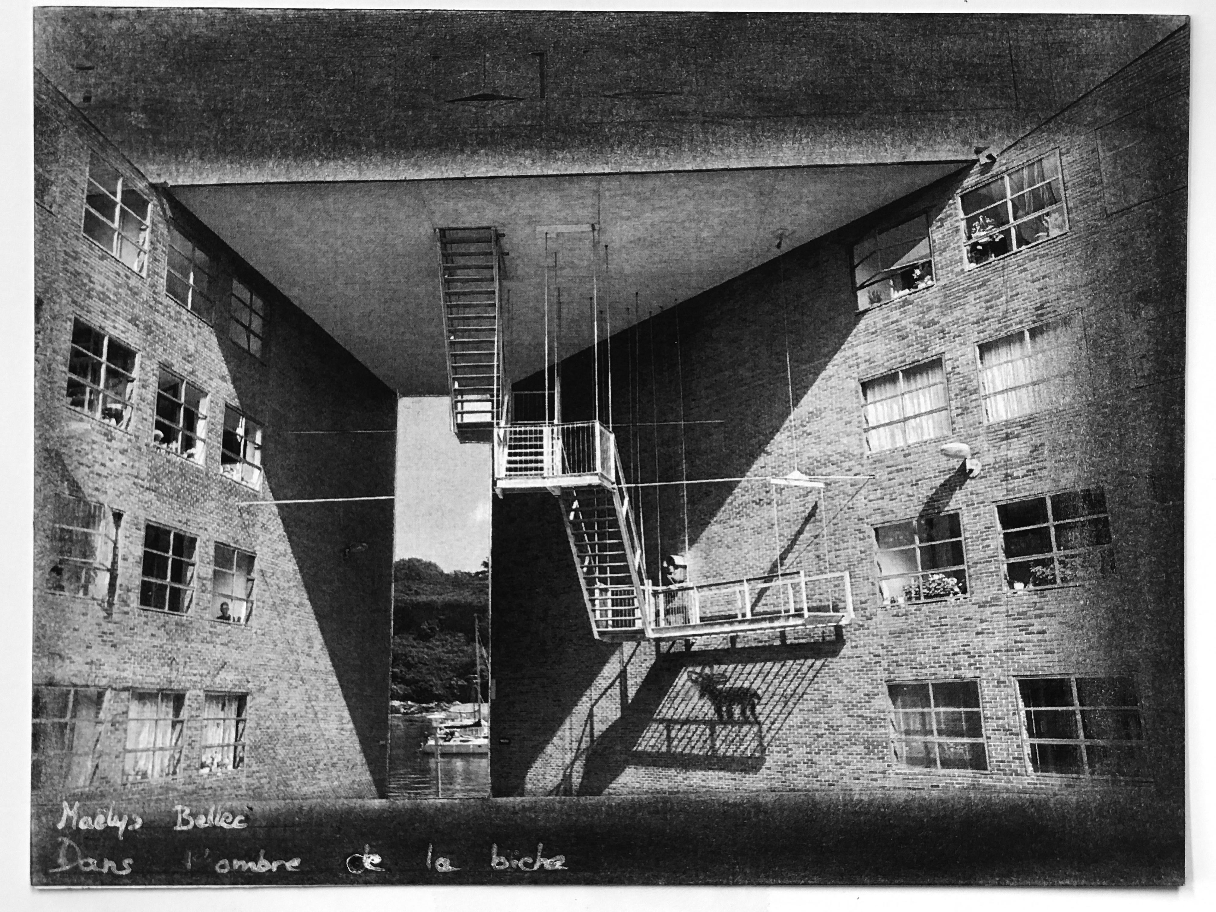 « Voyez-vous l'animal tapi dans l'ombre de nos villes ? » Theval esnapBx