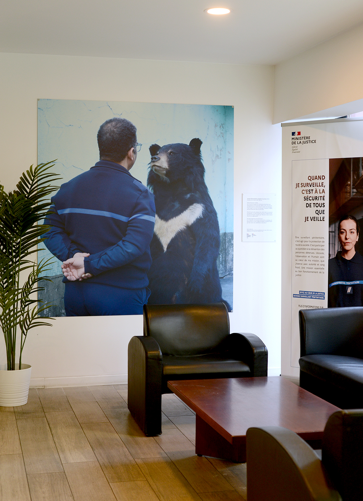 Arnaud Théval "Histoire animale de la prison" (2024) direction interrégionale des services pénitentiaires de Lyon. Tirage sur dibon format 160 x 170 cm.