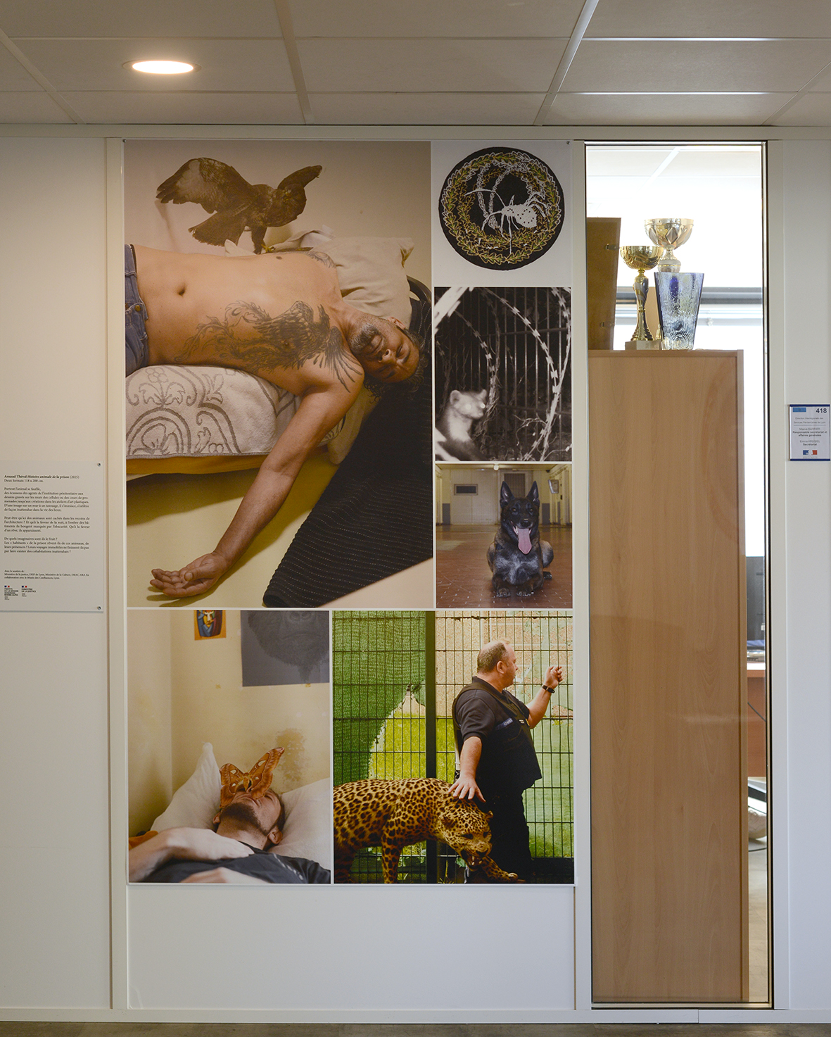 Arnaud Théval "Histoire animale de la prison" (2024) Direction interrégionale des services pénitentiaires de Lyon. Deux tirages sur jet tex format 118 x 200 cm..