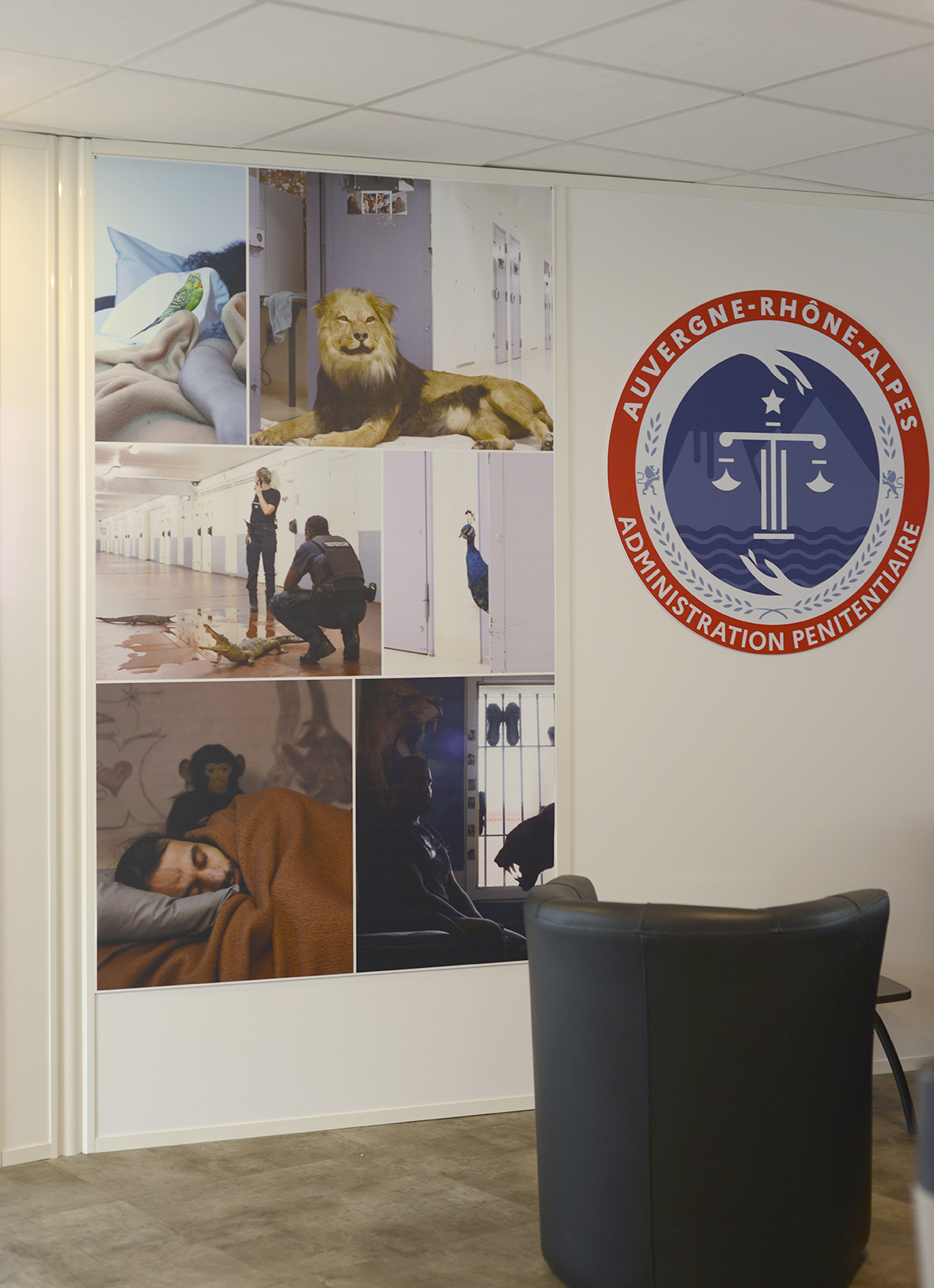 Arnaud Théval "Histoire animale de la prison" (2024) direction interrégionale des services pénitentiaires de Lyon. Deux tirages sur jet tex format 118 x 200 cm.