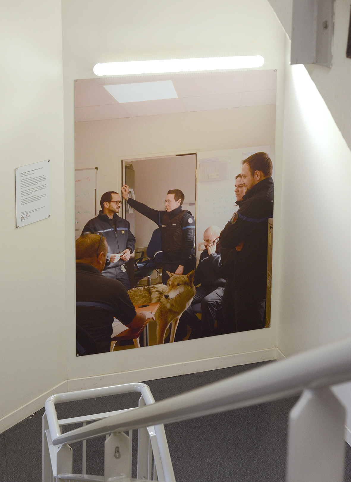 Arnaud Théval "Histoire animale de la prison" (2024) Centre de détention de Roanne. Tirage sur dibon format 145 x 200 cm.
