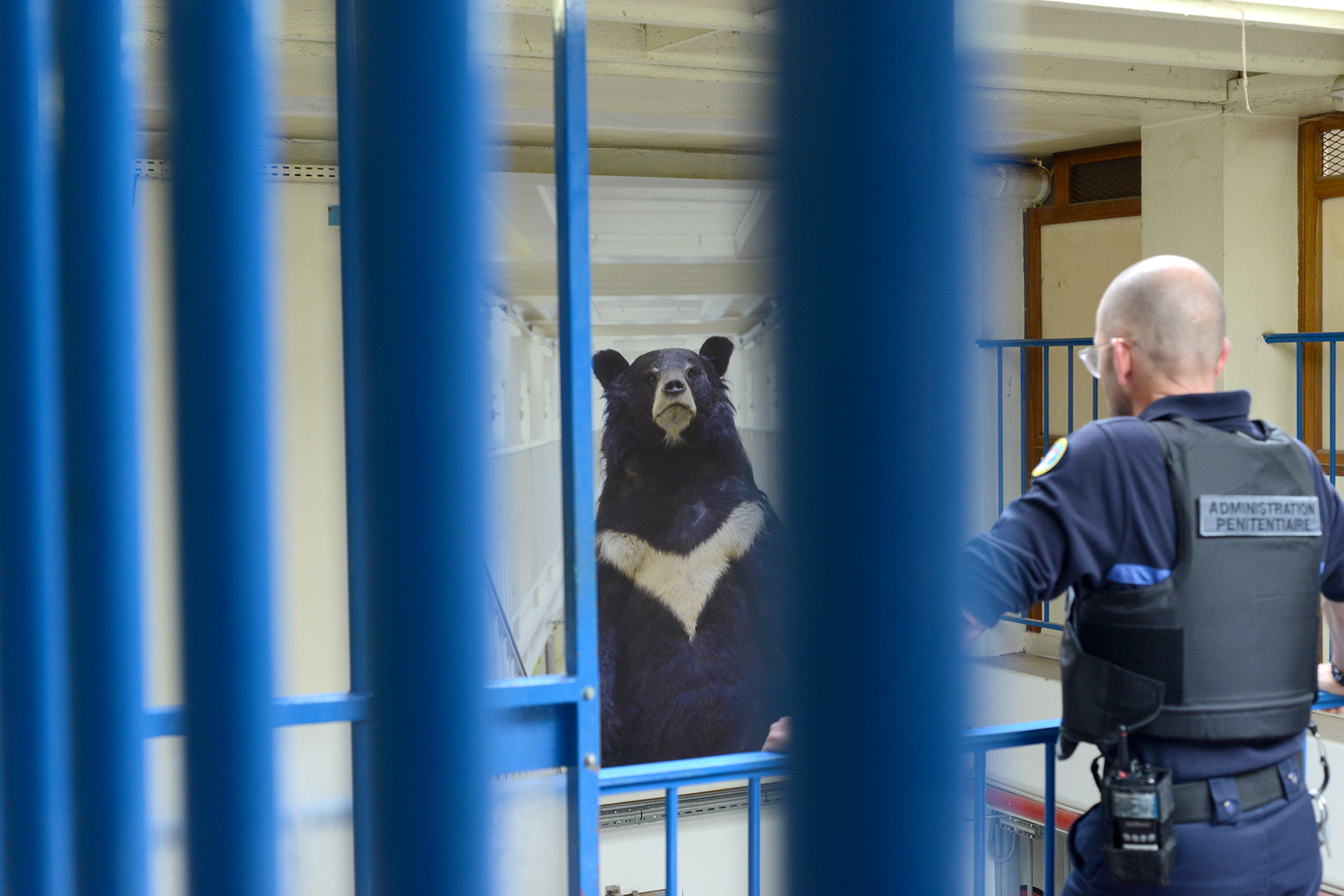 Arnaud Théval "Histoire animale de la prison" (2023) maison d’arrêt de Chambéry. Tirage sur dibon format 150 x 220 cm.