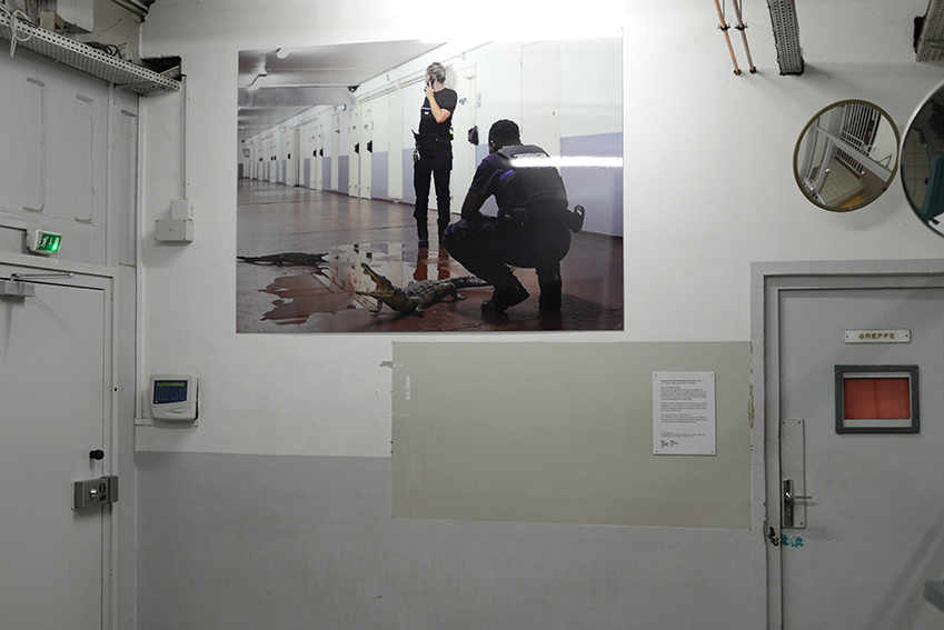 Arnaud Théval "Histoire animale de la prison" (2023) Maison d’arrêt de La Talaudière (Saint-Étienne) Tirage sur HD vinyle et plastification monté sur dibon format 150 x 204 cm 2023