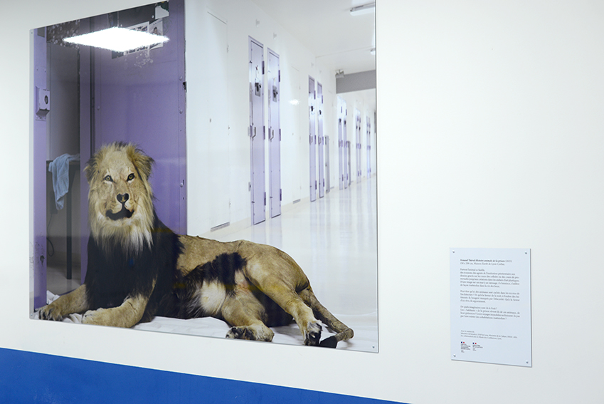 Arnaud Théval "Histoire animale de la prison" (2023) Maison d’arrêt de Lyon-Corbas Tirage sur HD vinyle et plastification monté sur dibon format 150 x 209 cm)