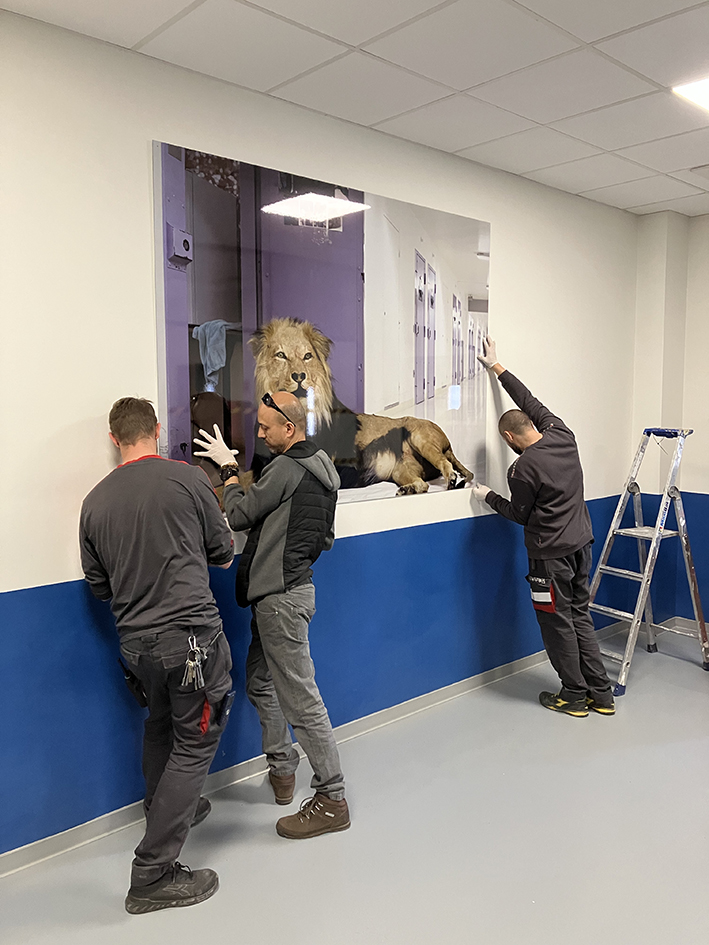 Arnaud Théval "Histoire animale de la prison" (2023) maison d’arrêt de Lyon-Corbas, porte d'entrée de l'établissement.