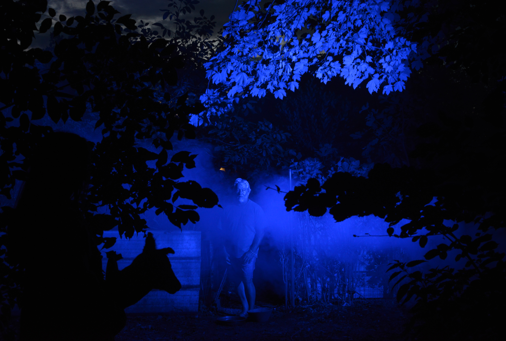 Arnaud Théval Partie de chasse, diorama inversé n°10 (2025) Université de Liège.