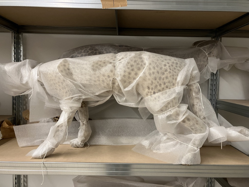 Arnaud Théval Partie de chasse (2025) Université de Liège.