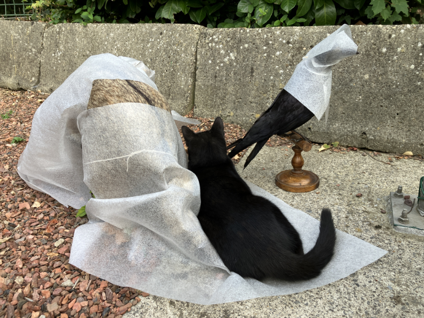 Arnaud Théval Partie de chasse (2025) Université de Liège.