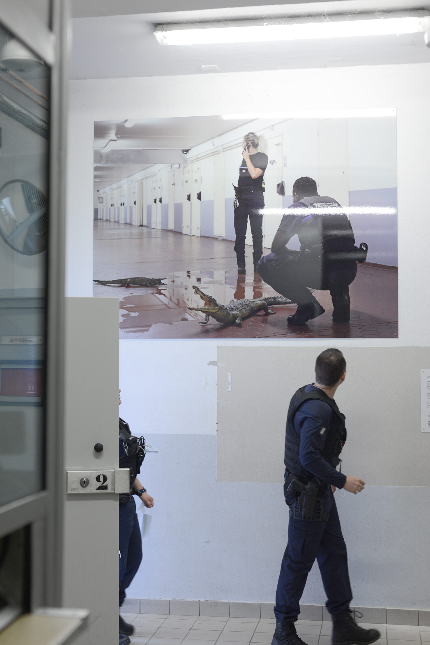 Arnaud Théval "Histoire animale de la prison" (2023) maison d’arrêt de La Talaudière (Saint-Étienne)