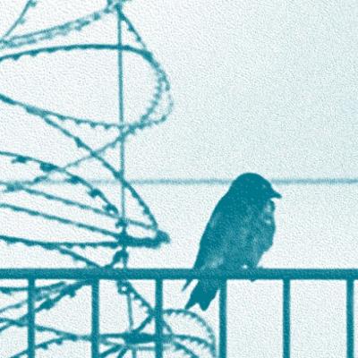 Arnaud Théval festival Concertina 2021