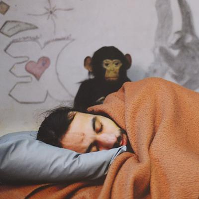 THEVAL L'ANIMAL TROUE LA NUIT CARCÉRALE