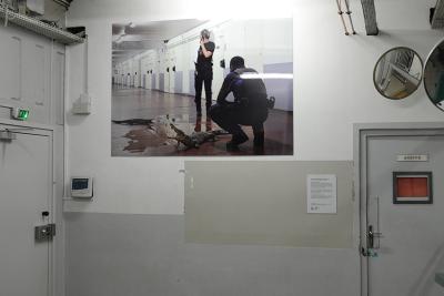 Arnaud Théval "Histoire animale de la prison" (2023) maison d’arrêt de La Talaudière (Saint-Étienne). Tirage sur HD vinyle et plastification monté sur dibon format 150 x 204 cm.