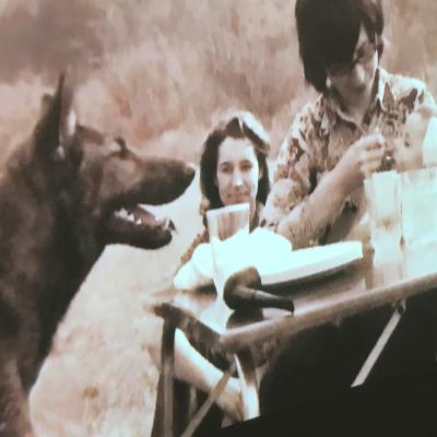 L'animal dans le fossé - sommaire