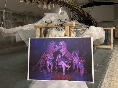 Arnaud Théval Partie de chasse (2025) Université de Liège.