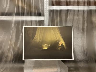 Arnaud Théval Partie de chasse (2025) Université de Liège.