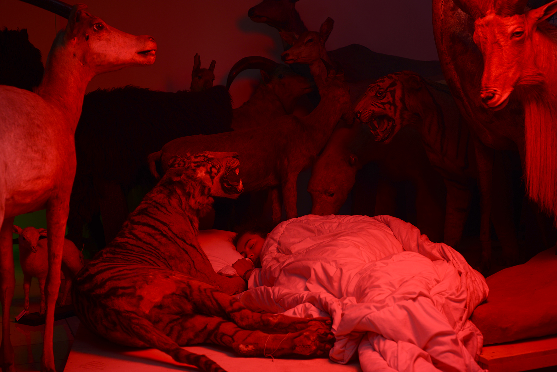 Arnaud Théval La cage aux oiseaux (2018-2020) Centre photographique Marseille