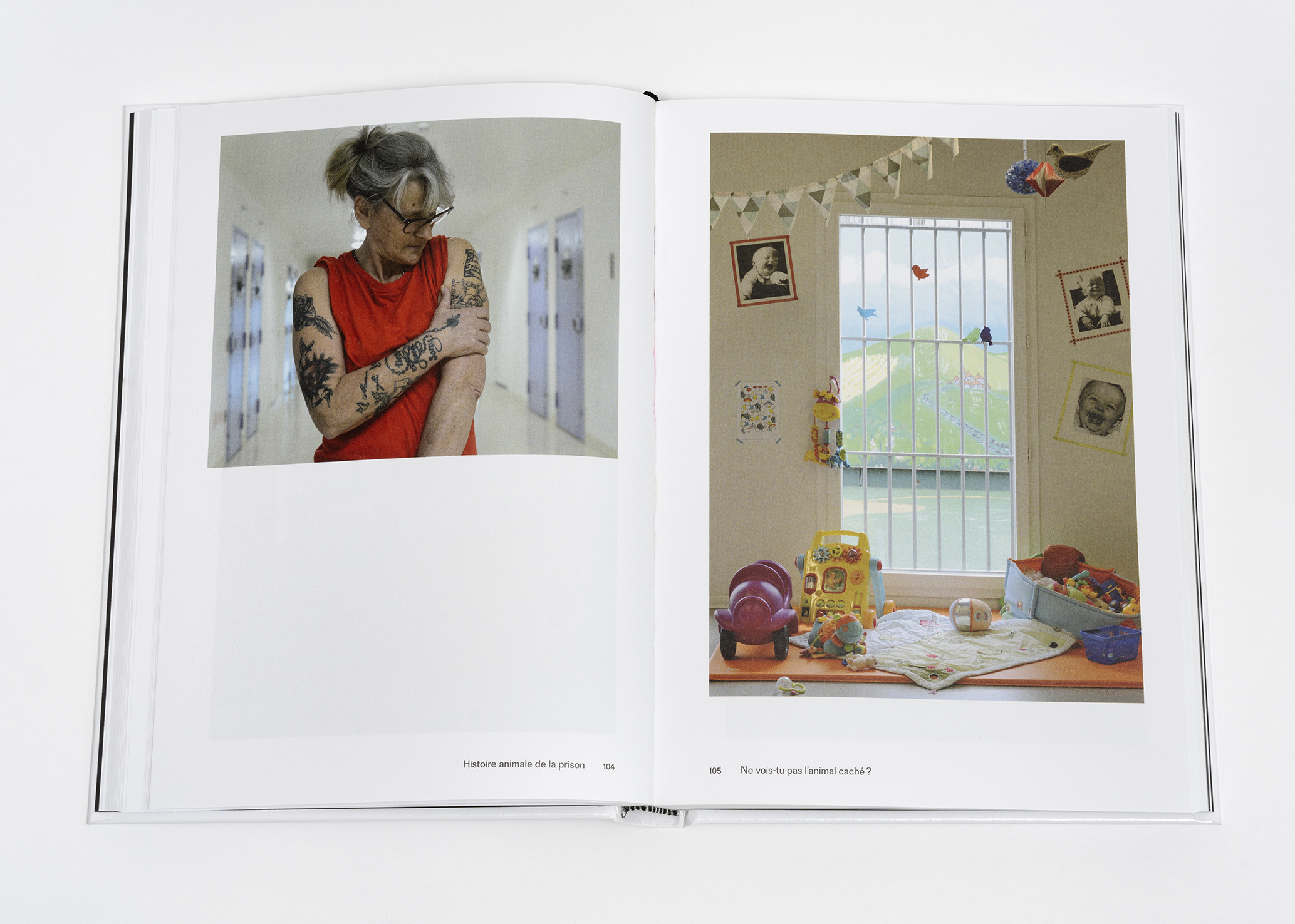© Arnaud Théval &quot;histoire animale de la prison&quot;(2025) Courtesy Dilecta. Photo : Nicolas Brasseur.