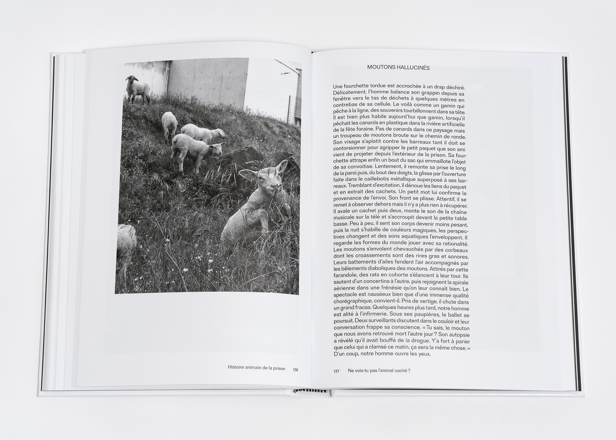 © Arnaud Théval &quot;histoire animale de la prison&quot;(2025) Courtesy Dilecta. Photo : Nicolas Brasseur.