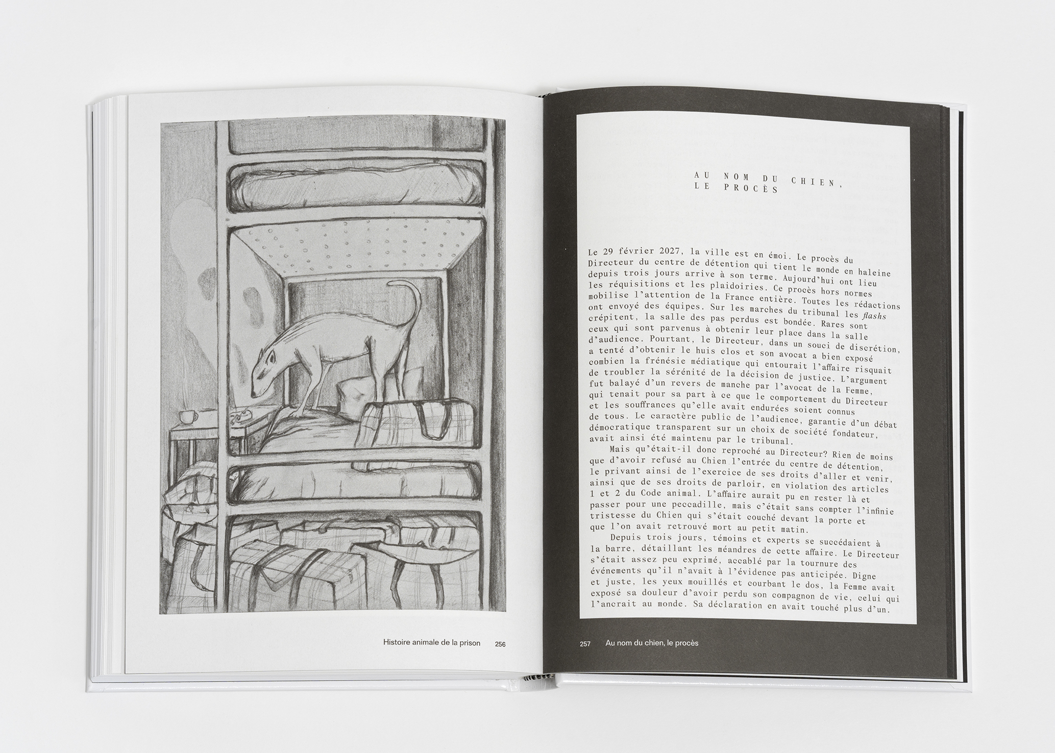 Arnaud Théval &quot;histoire animale de la prison&quot;(2025) Courtesy Dilecta.