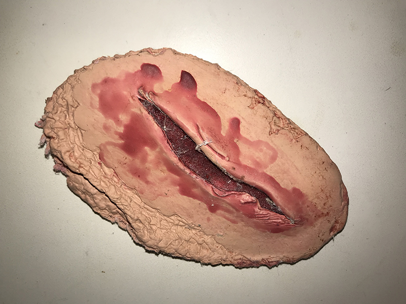 Theval guerre-guérison, document