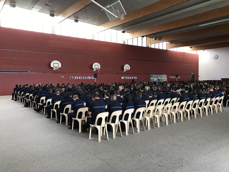 Document Anaud Théval (Le tigre et le papillon) 2018, Les foules conviées (2018) colloque nationale à l'Énap, Agen.