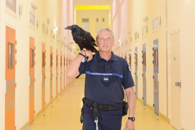 ARNAUD THEVAL LA PRISON ENFORESTÉE (2020)