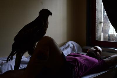 Arnaud Théval &quot;Histoire animale de la prison&quot; (2021-2025).