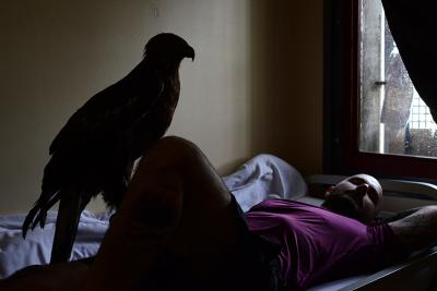 Arnaud Théval &quot;Histoire animale de la prison&quot; (2021-2025)