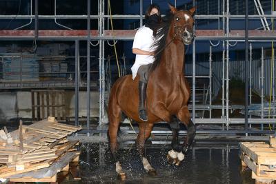 Arnaud Théval &quot;Guerre-guérison&quot;